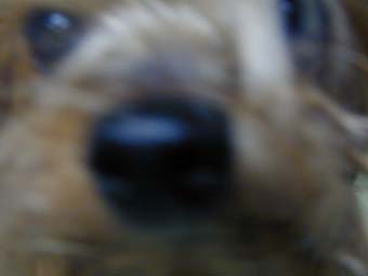 AbvBڂĂƂ܂()
